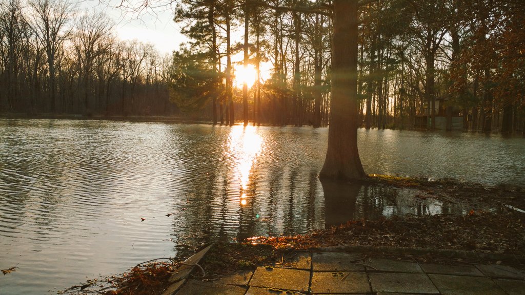 RachelRG's tweet image. Four years ago today, I came within a few feet of losing my home to flood waters... don't know why it was spared, but am forever grateful.
#backyardshouldnotbealake #peacefultilthesloughgotout