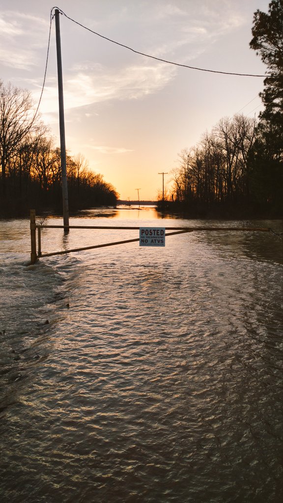 RachelRG's tweet image. Four years ago today, I came within a few feet of losing my home to flood waters... don't know why it was spared, but am forever grateful.
#backyardshouldnotbealake #peacefultilthesloughgotout
