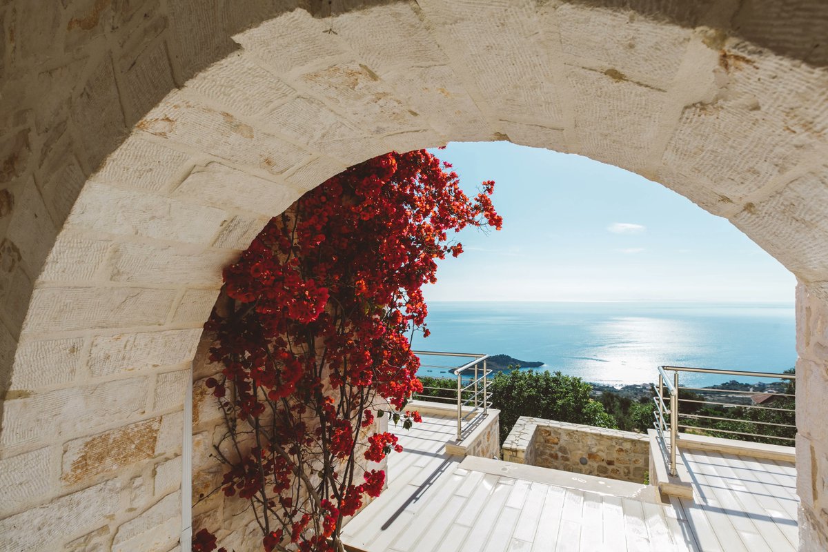 The Peligoni Club tweet media