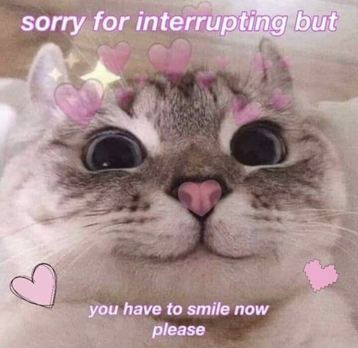 Respectful Memes (@respectfulmemes) on Twitter photo 