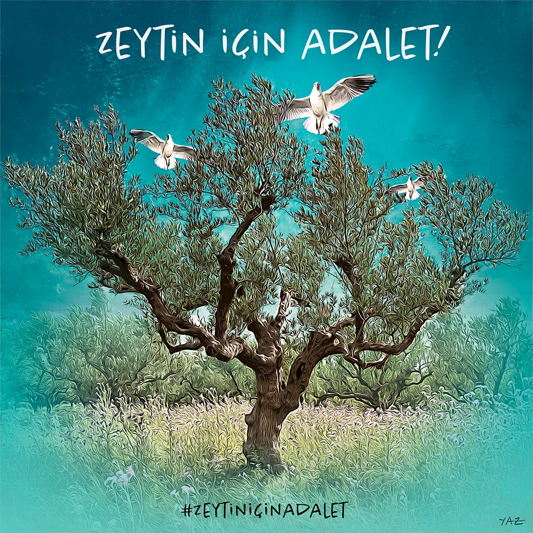 #ZeytinİçinAdalet #ZeytinimeDokunma❗️