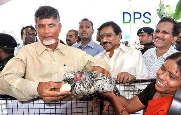 FMyCubRakAEelP3?format=jpg&name=small