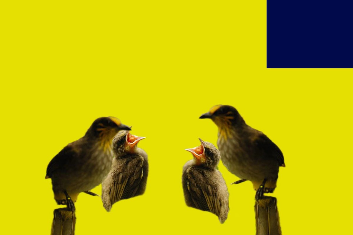 "Duo"/"两个我" #BirdDAO
🥠Contributed by @isa20221nft