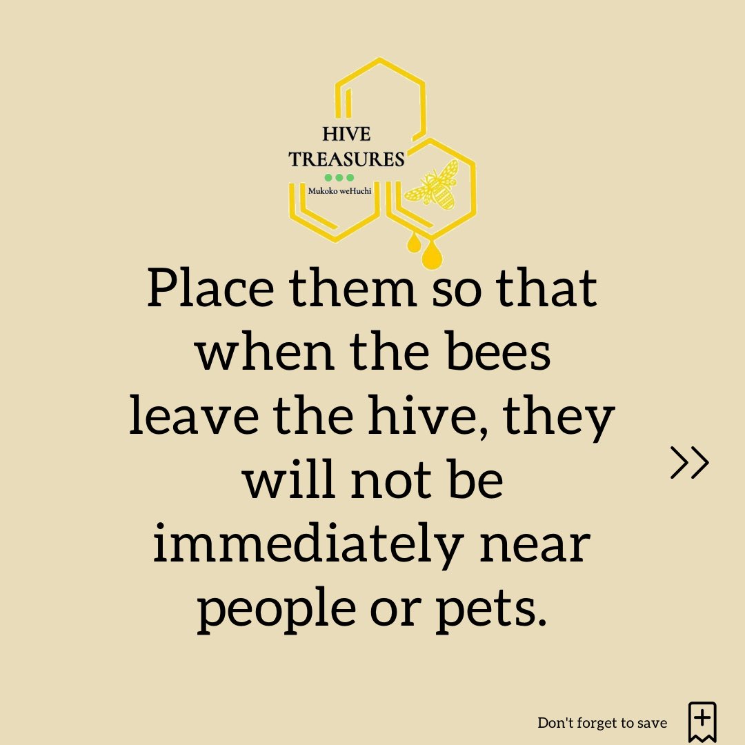 hivetreasures's tweet photo. https://t.co/1n7xss17aT