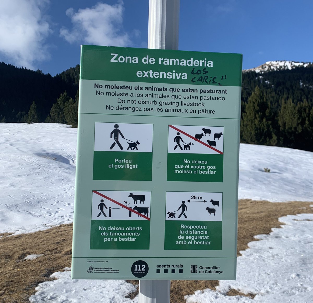 Aquest cartell: memoritzat siusplau😊