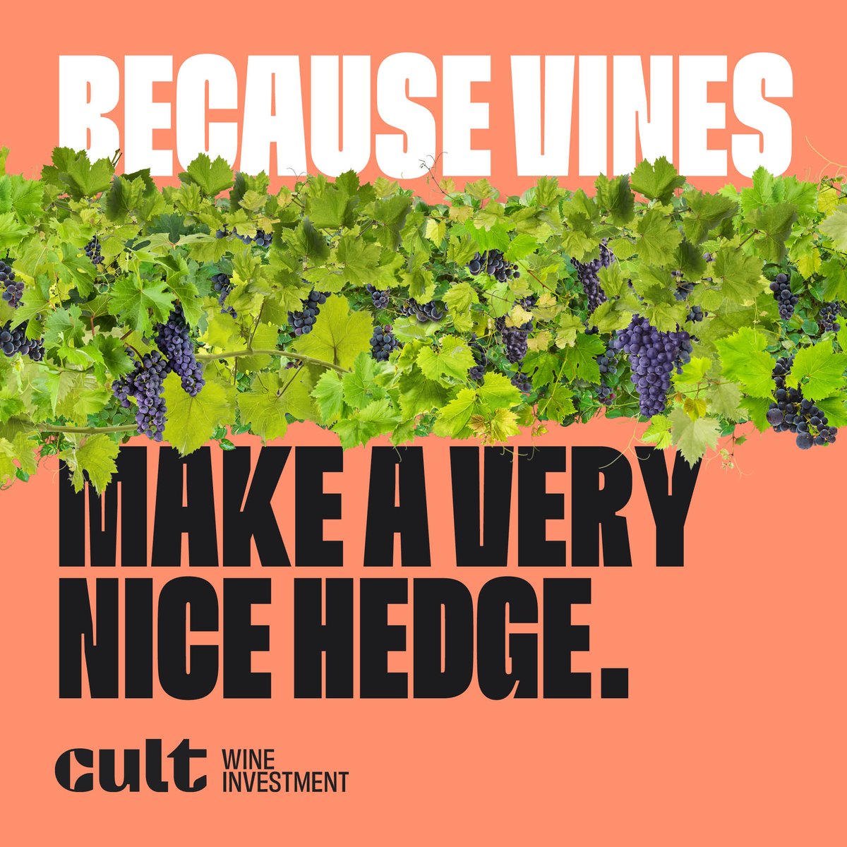 CultWinesUK's tweet photo. With inflation on the rise, the desire to diversify wisely grows too - even traditional hedges like gold no longer promise reliable refuge. Here's to wine, the asset resistant to volatility and a happy alternative to the inflationary squeeze #ToGoodWealth 
https://t.co/gySPLwjIWL https://t.co/eiff5WBry0
