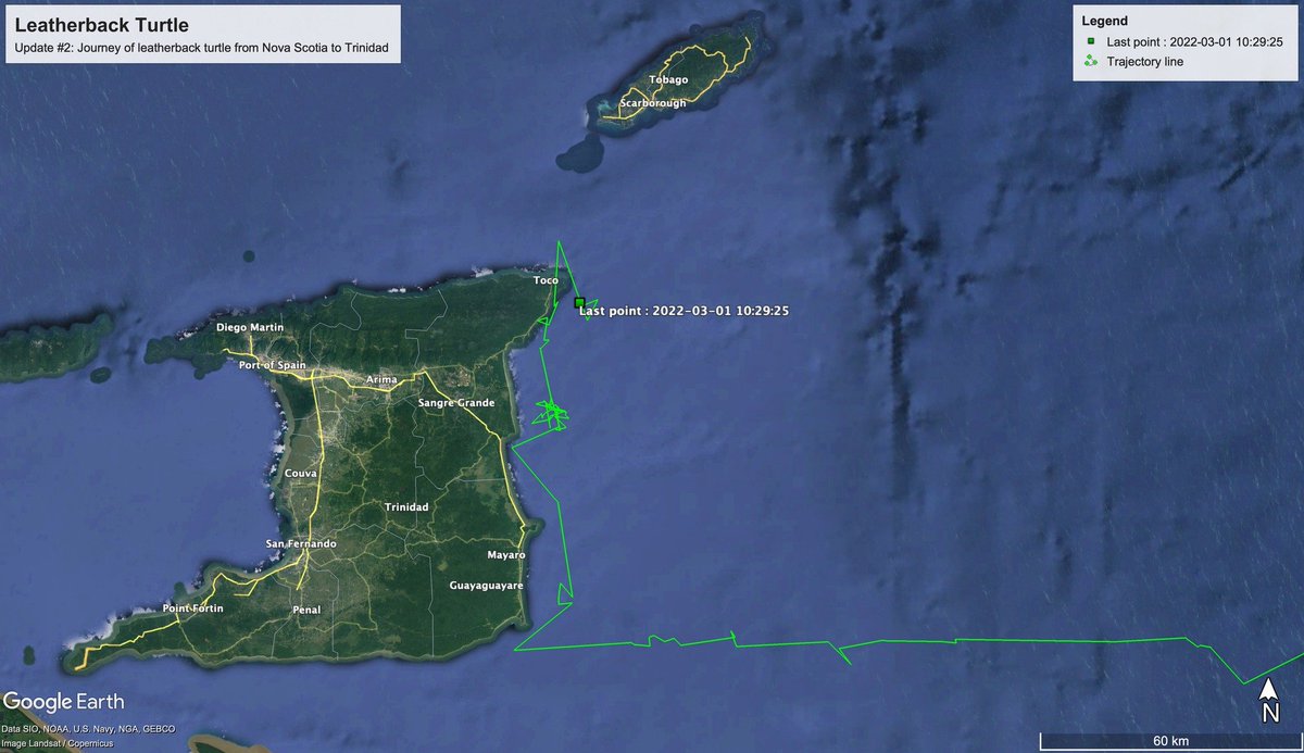trinilab's tweet image. Mar 1st, 2022 marks the official start of the #turtlenesting season and @NatureSeekers says that it appears that the turtle who came from #NovaScotia has zoomed in on Trinidad as her nesting country. 
We await to see where she nests. The journey continues  #ExperienceConservation