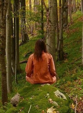 koshaid1's tweet photo. #ThrowbackTuesday 

Standing amongst tall trees 🍁🍃 #FBF #FlashBackFuture #ChildrenIfTheWoods  

IG on March 1, 2019

#StanaKatic https://t.co/TBMzkBlBSZ