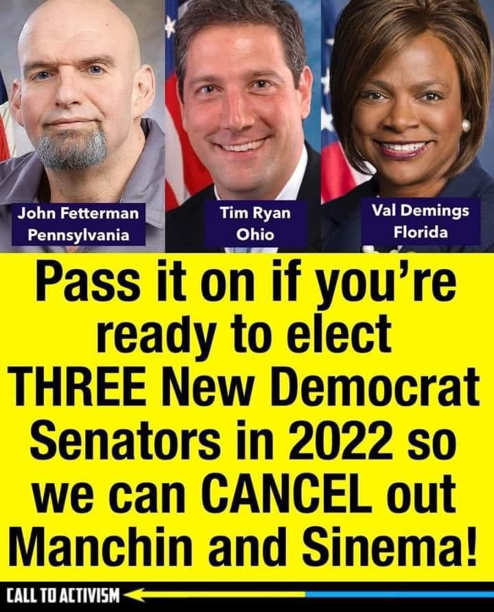 We must retain Senate seats & gain at least 3 to make DINO's Manchin & Sinema irrelevant. EVERY Dem in the country must pledge to #VoteBlueToSaveDemocracy in '22 & '24. #FreshResists #VoteThemAllOut #GOPBetrayedAmerica