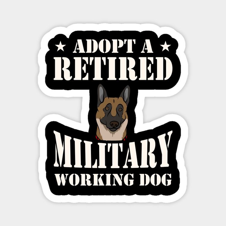 vetswithpets00's tweet photo. Refired, Not #Retired Day
#MilitaryRetirement should be a time to get refired about your life & using your newly found freedom to get back to living life to the fullest, not quietly getting out of the way. Are you #Refired?
https://t.co/0k5gQpr6bF
#retireddog #veterans #adopt https://t.co/akWNYs4O8Q
