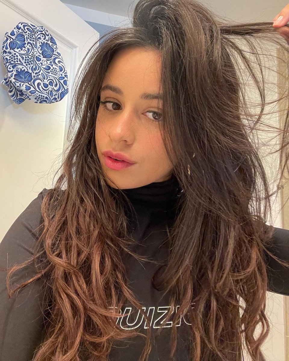 camila tweet media