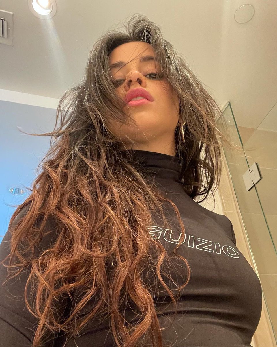 camila tweet media