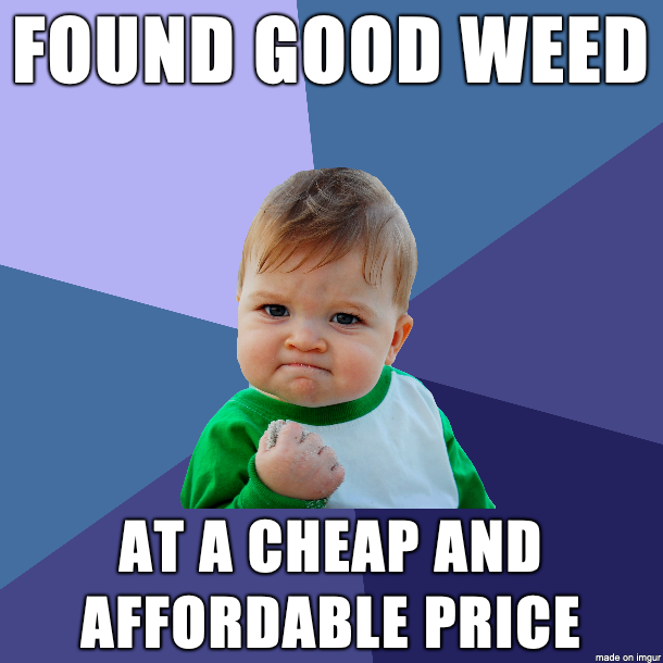 HEMPCON's tweet photo. #stoner #cannabis #cannabiscommunity #marijuana #thc #weedporn #hightimes #highlife #stoned #stonernation #weedlife #ganja #dank #kush #indica #cannabisculture #hempcon #hempcon2022 #hemp #medicalmarijuana #highsociety #medcard #sativa https://t.co/fBtHdQiE2r