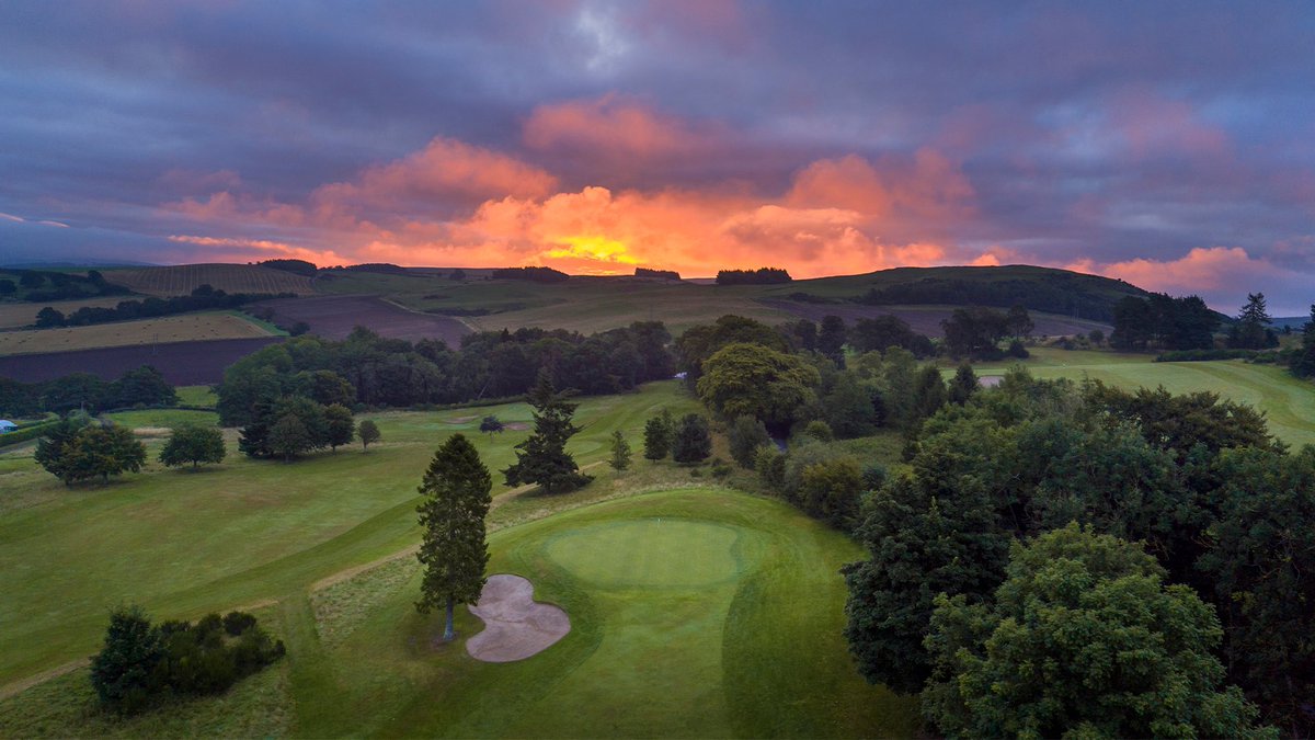 Fore! Group tweet media