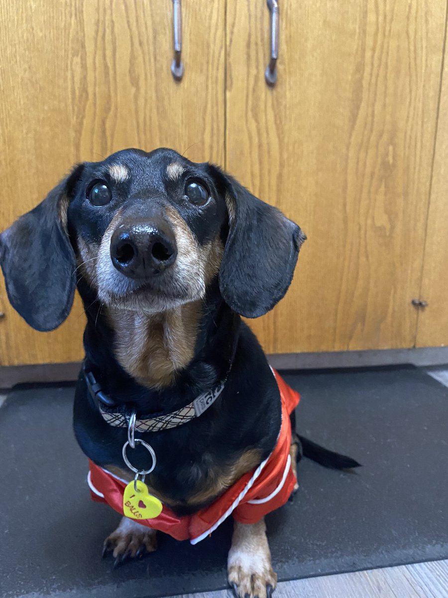 Maxi Pad tweet media