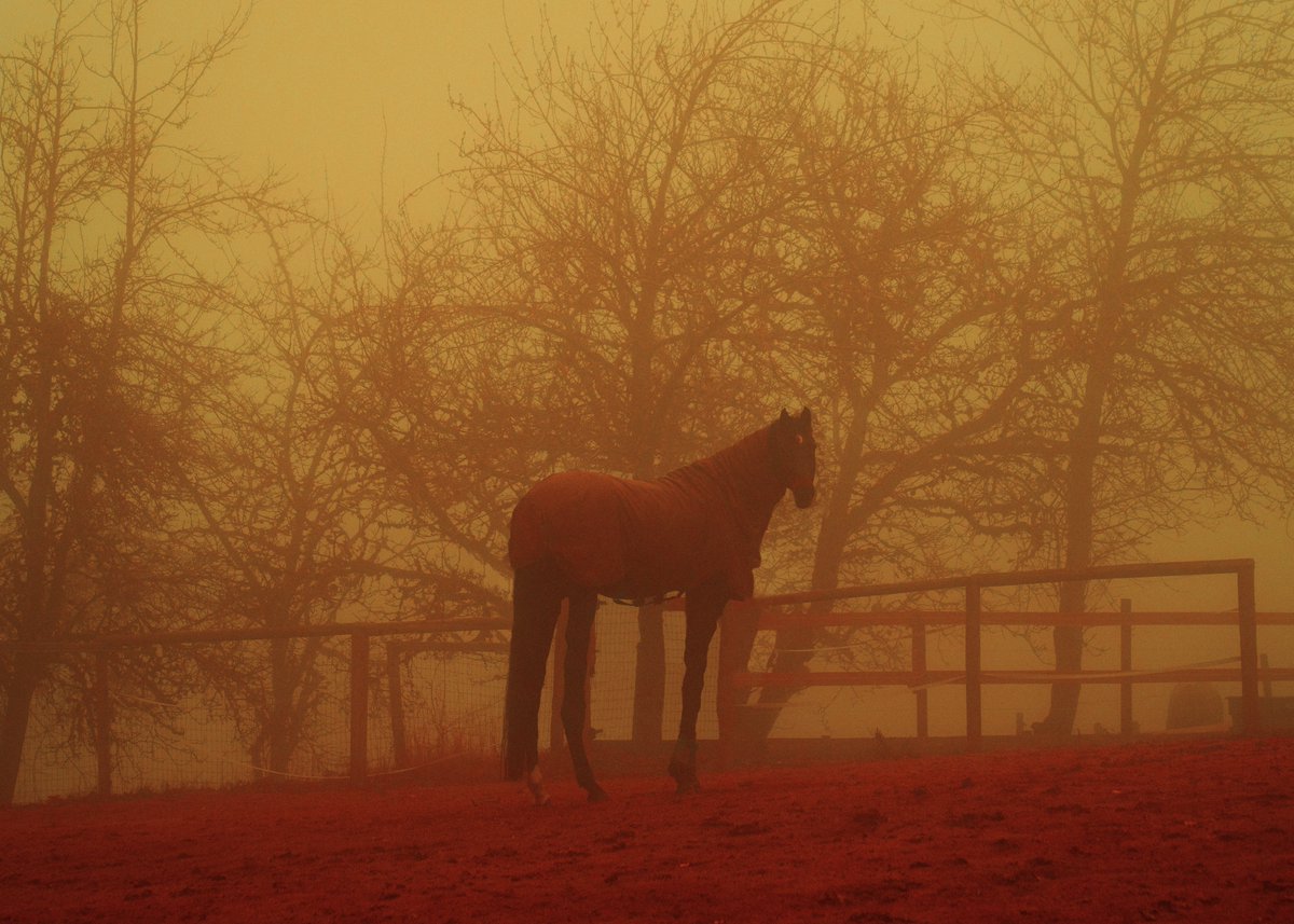 _ponygirl's tweet photo. Become a part of my world ‘Somethings Not Right’ <3 https://t.co/eKOcfnvBQ6
