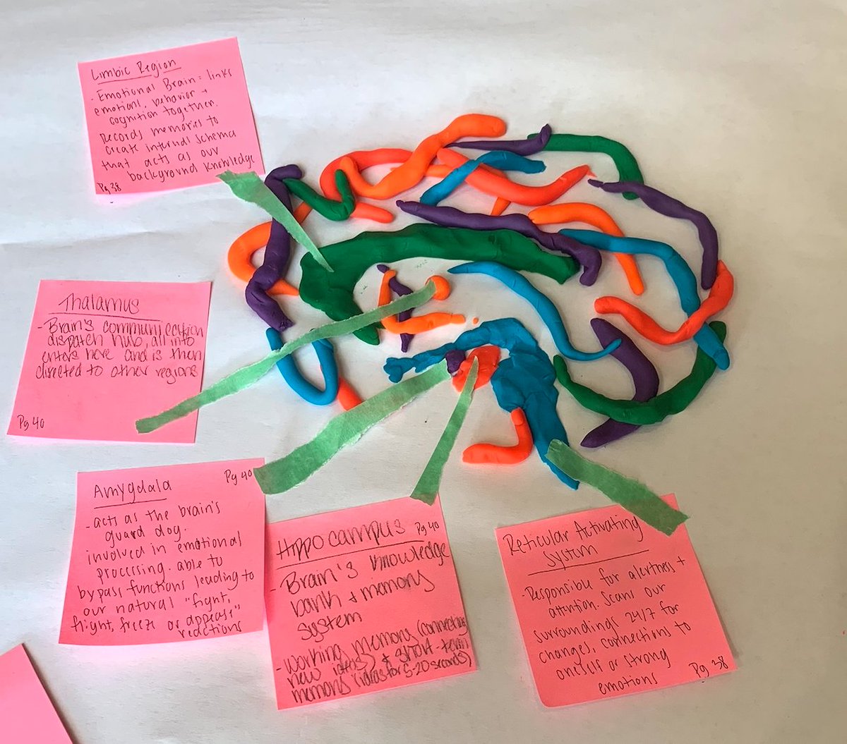 Build-A-Brain Workshop and practice with meaningful feedback. What a way to start a week!