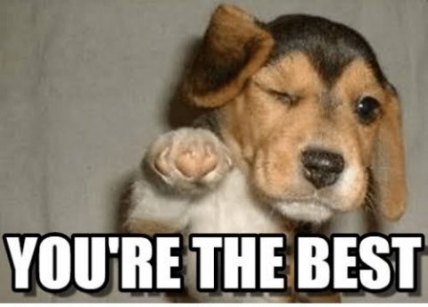 Bondex army tweet media