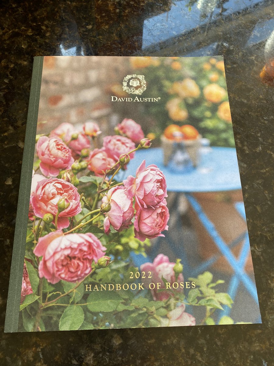 SusanBailey63's tweet image. Always a joy when this comes through the door, especially on a grey and wet day. Now what shall I choose this time 🤔 #runningoutofspace #oldenglishroses #gardening #roses @DAustinRoses