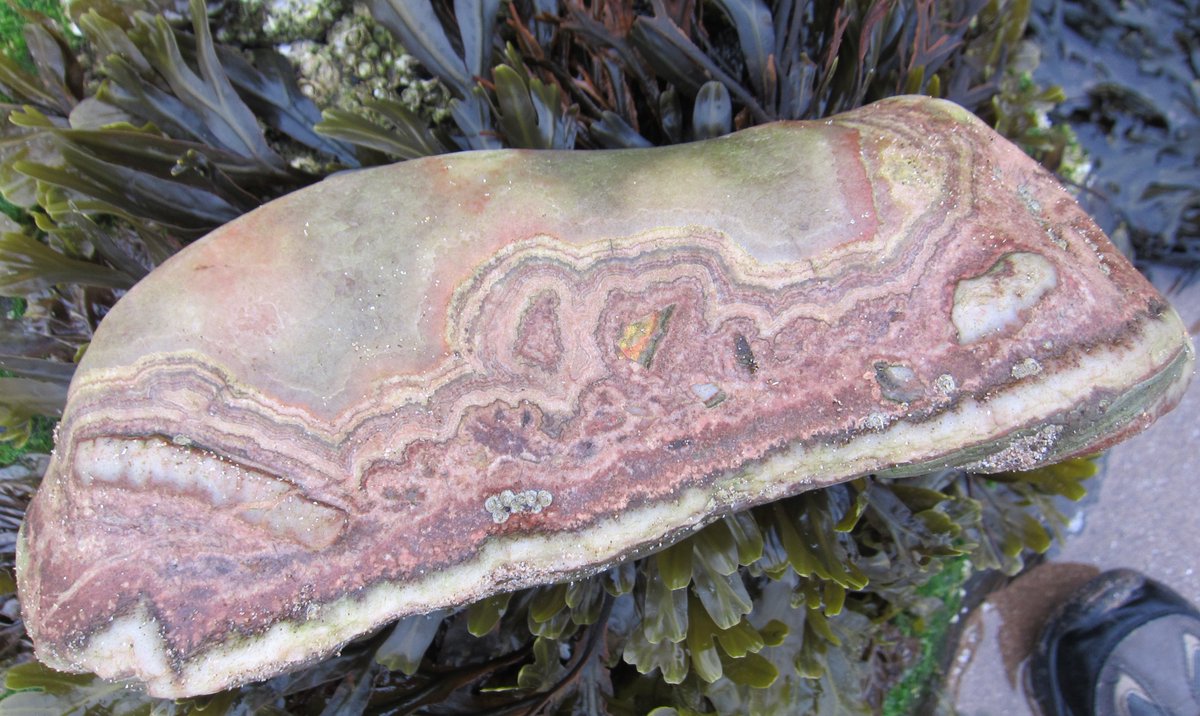 <a href="/scottishgeology/">The Scottish Geology Trust</a> <a href="/lunanbaybeach/">lunanbaybeach</a> From Rickle Craig, Lunan Bay.