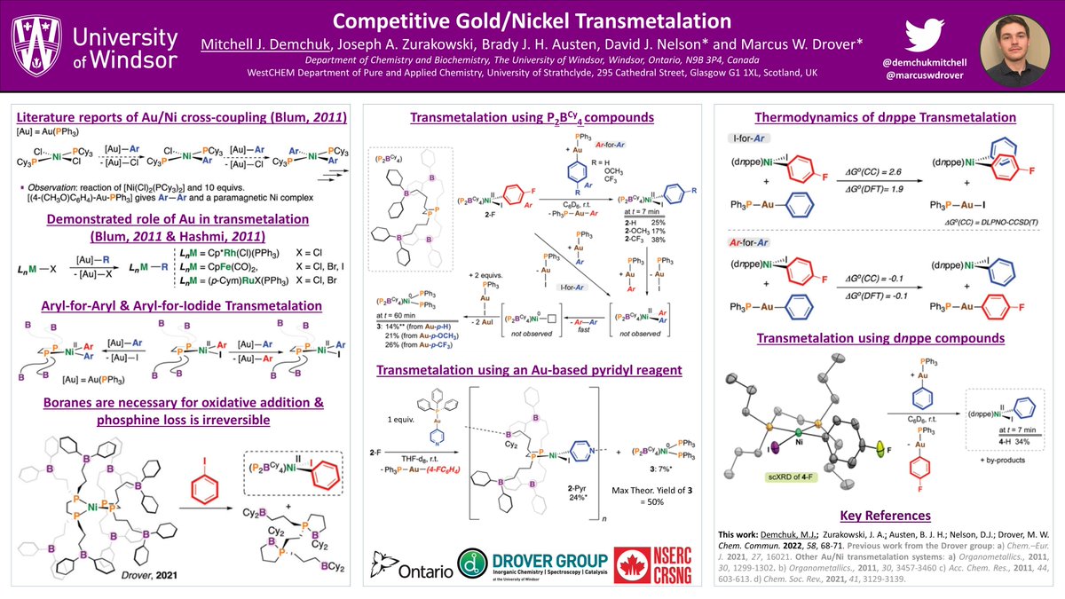 Mitchell Demchuk tweet media