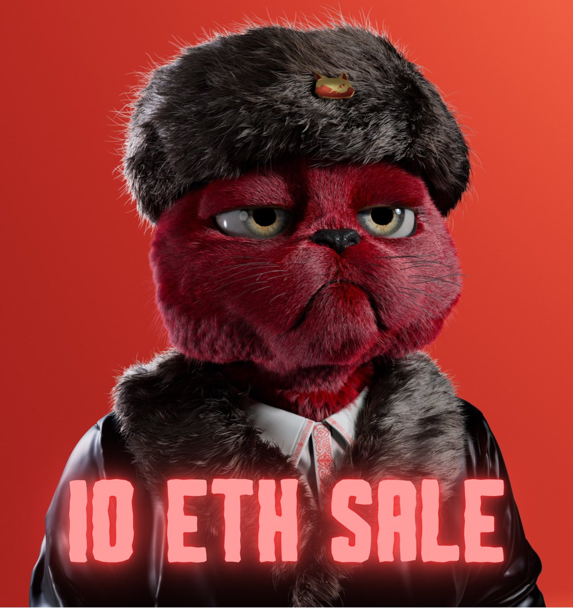 Kitty Crypto Gang tweet media