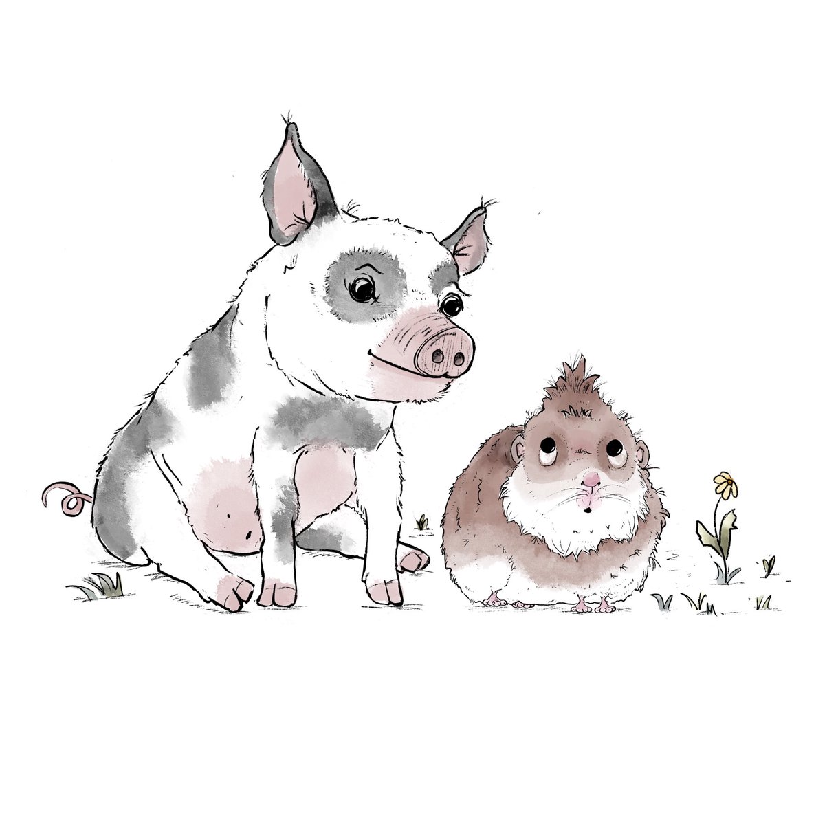 Happy National Pig Day! Just thought I’d cover my bases. 😂 #pig 🐷#guineapig #NationalPigDay #procreate #picturebookillustration #picturebookart #childrensbookilllustration #childrensbookart #childrensbookillustrator #kidlitart #kidlitartist