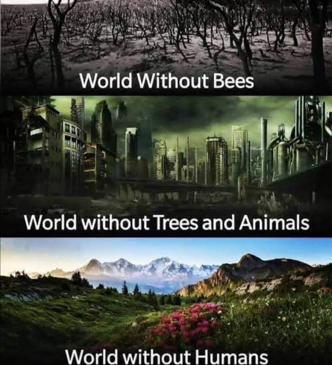 And what we think and act actually is totally opposite,
#saveplanet
#SaveHumanity