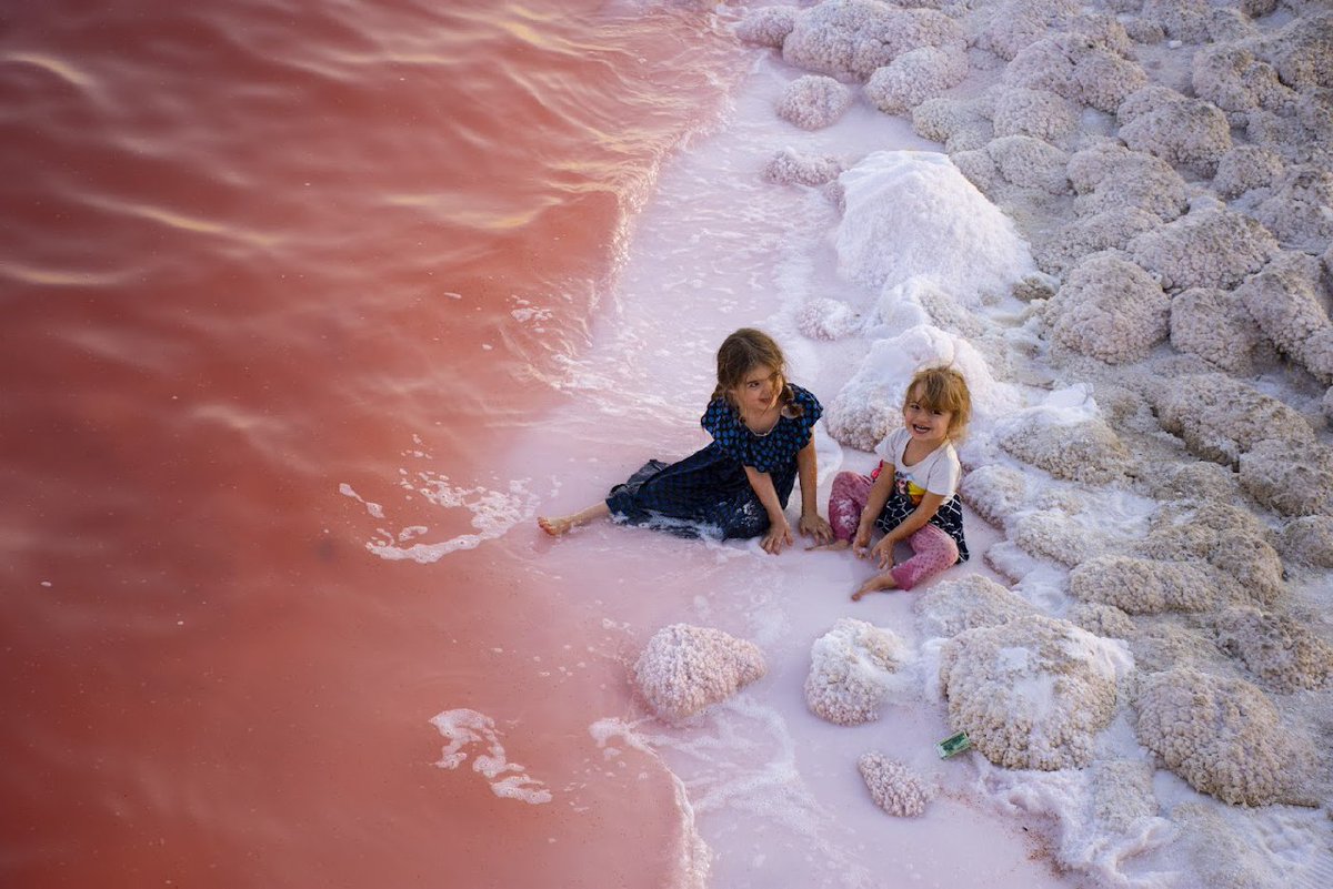 mahdirahnavard2's tweet photo. @jf_nft Gm jf https://t.co/jl8YOTAgT5