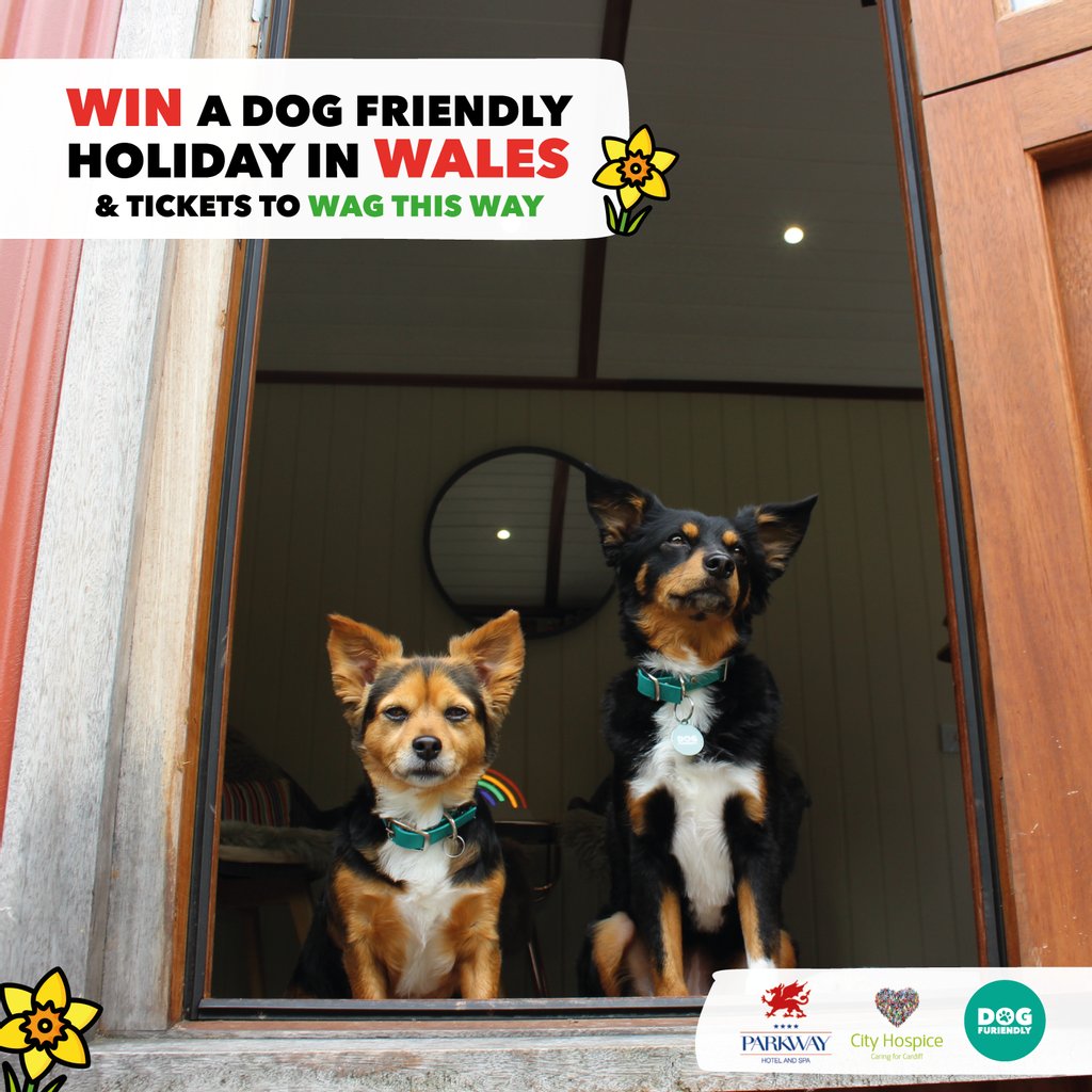 LUSH giveaway to celebrate #stdavidsday! 🤗 WIN an overnight #dogfriendly stay <a href="/ParkwayHotelSpa/">Parkway Hotel & Spa</a> Shepherd's Hut (dinner incl) AND 🎟 2 x tickets to #wagthisway <a href="/CityHospice/">City Hospice</a>

ENTER:
❤ RT
🐶 @ 2 friends 
👉 Follow <a href="/dogfuriendly/">Dog Furiendly</a> <a href="/ParkwayHotelSpa/">Parkway Hotel & Spa</a> <a href="/CityHospice/">City Hospice</a>

#twitterdogcommunity