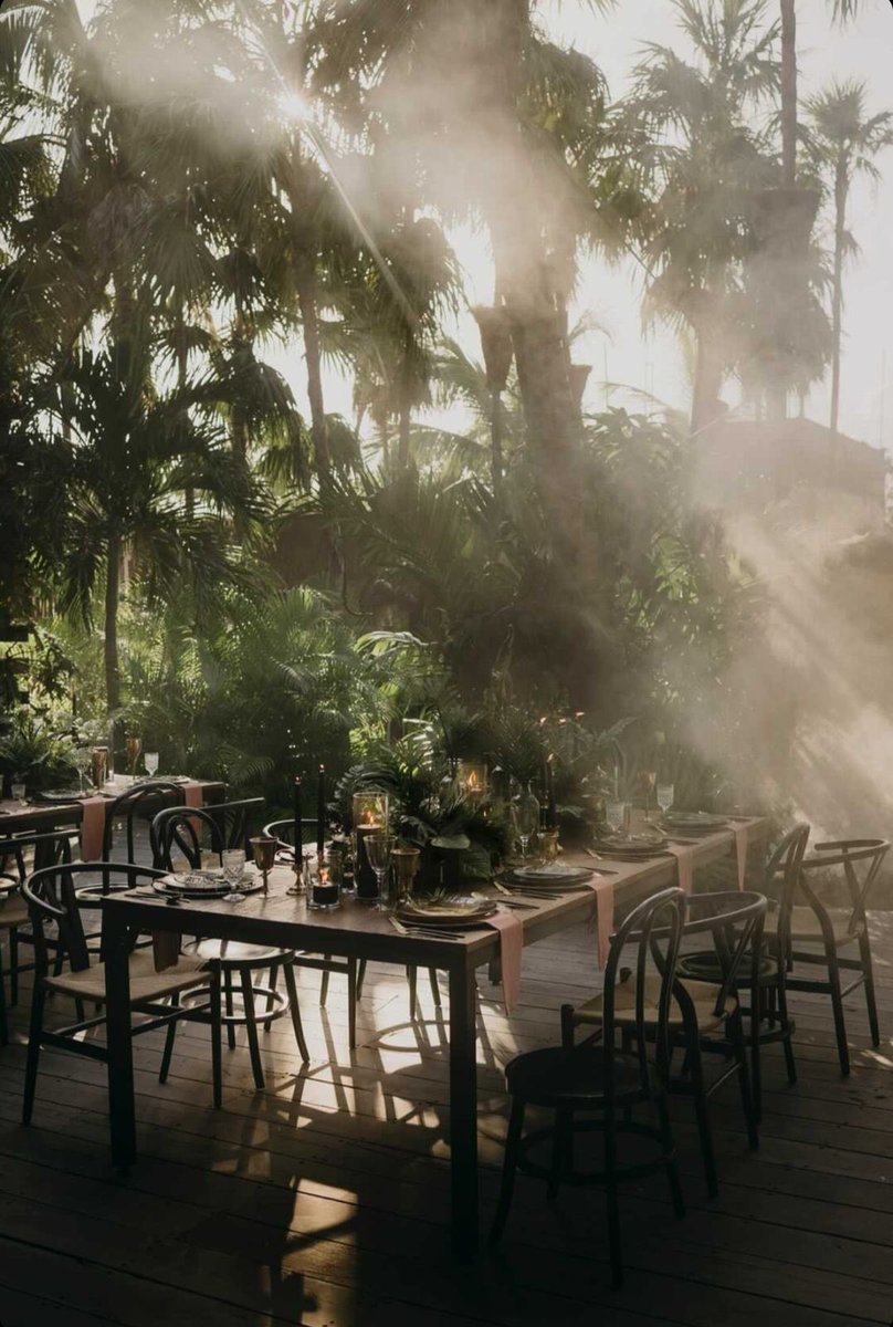 marialimon_'s tweet photo. This light, this unique vibe, the spectacular textures of the jungle… all this is what makes tulum so magical!.. 
This amazing photo from @pablo_laguia captures all the mysticism of this place!
 @ArchiveRentals @NestTulum https://t.co/ojdvAyi2Xb