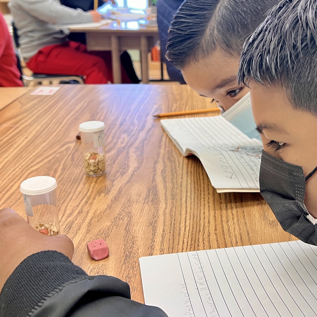 AngelesMesaES's tweet photo. 2nd grade scholars observing mealworms to record observations and wonderings in their science notebooks. 
#fosssciencekit
@FOSSscience https://t.co/qHCxupFhdr