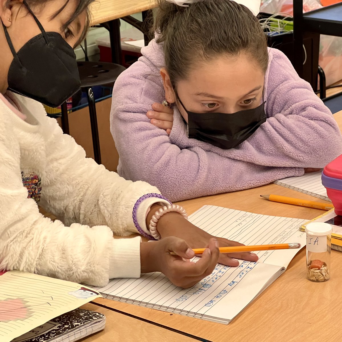 AngelesMesaES's tweet photo. 2nd grade scholars observing mealworms to record observations and wonderings in their science notebooks. 
#fosssciencekit
@FOSSscience https://t.co/qHCxupFhdr
