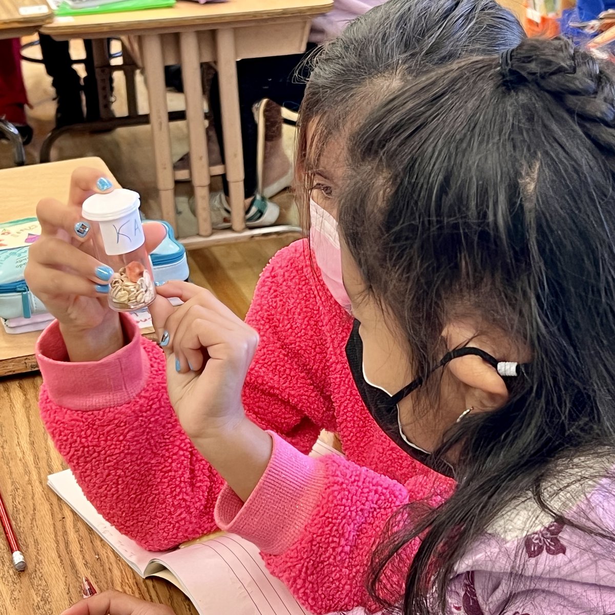 AngelesMesaES's tweet photo. 2nd grade scholars observing mealworms to record observations and wonderings in their science notebooks. 
#fosssciencekit
@FOSSscience https://t.co/qHCxupFhdr