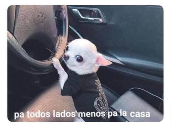 danna_aguilr's tweet photo. #CuandoEstoTermine aplicaré este meme a mi vida diariaaa✨
@jcoreadg https://t.co/65Hl2jQnBf