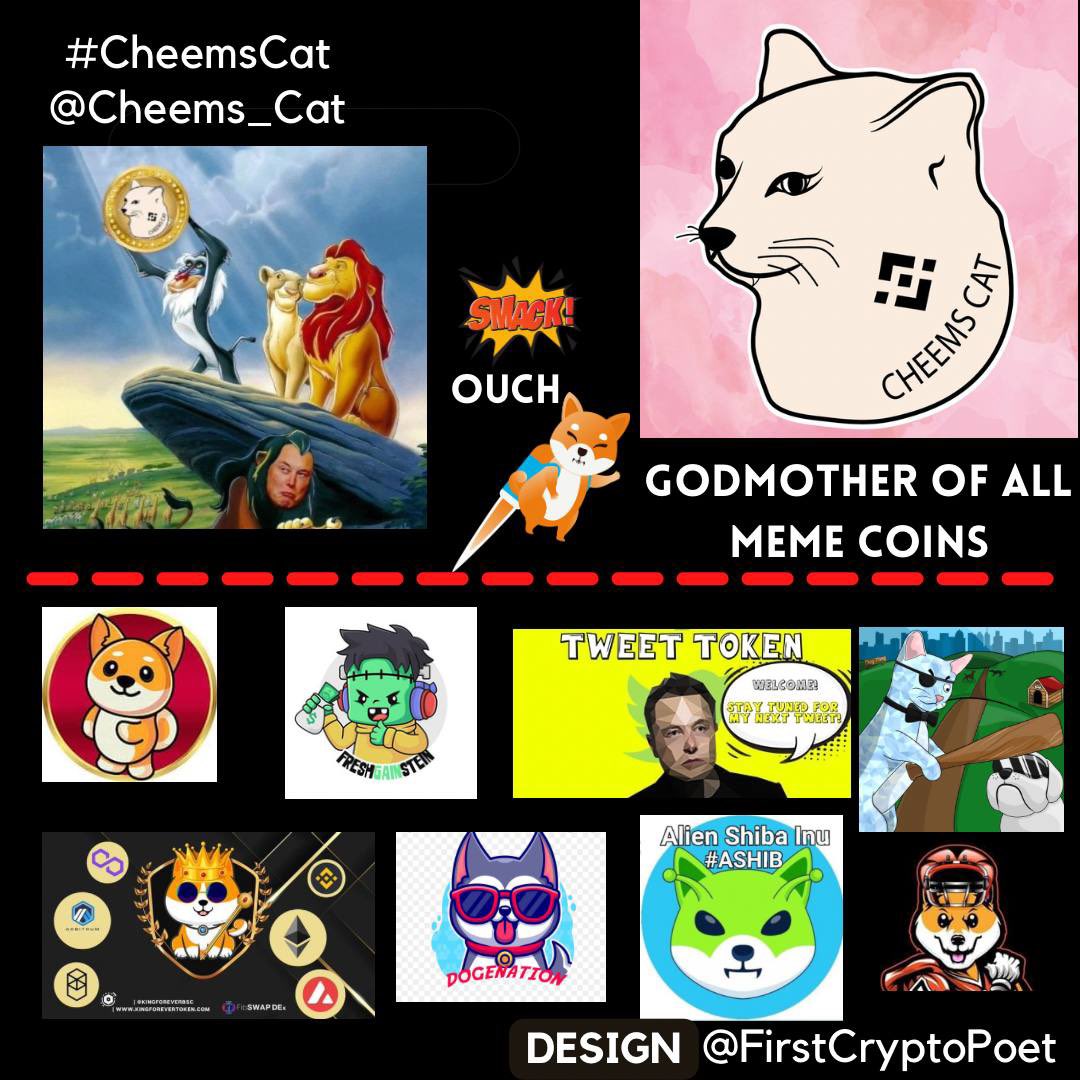🐈 ✨#Cheemscat Meme Competition!✨🐈 

Post your best Cheems Cat memes with the hashtag #Cheemscat

🥇1st prize = $250 in #BNB 
🥈2nd~10th prize = $25 in #CAT

Winners will be announced on 6th of March.

#cheemscat #cheems #BSC #binance #cheems #Crypto #meme #memecoins #memecoin