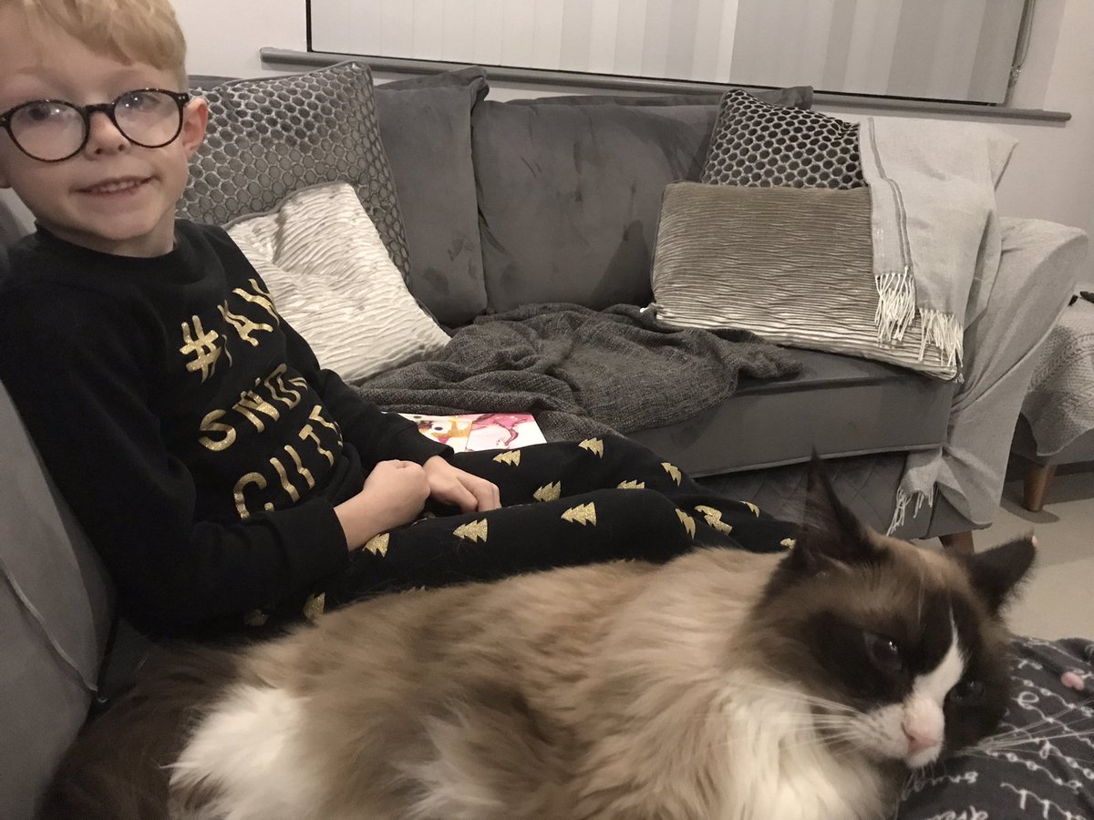 rachcptr's tweet photo. @WestBrettonJI Freya has been reading to Tobias and Rossi , they both loved the Diary of a Christmas Elf 📚😺❤️ https://t.co/zWkEMcGdsE