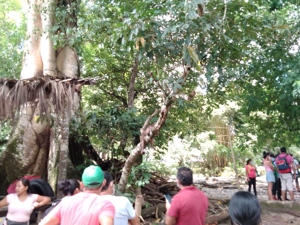 MAATE_Zonal8's tweet photo. #Napo | Continuamos la jornada de información a  visitantes en la parroquia Misahualli sobre el cuidado de los monos, además de monitorear el comportamiento de los primates en sus hábitos de alimentación. La acción se da con la @u_ikiam, @rootsNshootsEC y jóvenes voluntarios. https://t.co/qWUUxlqUHH