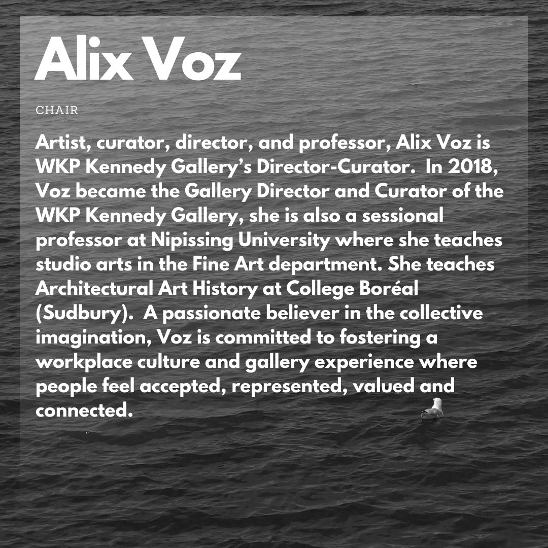 Meet Alix Voz, Our Chair!

A passionate believer in the collective imagination, Voz is committed to fostering a workplace culture and gallery experience where people feel accepted, represented, valued and connected.