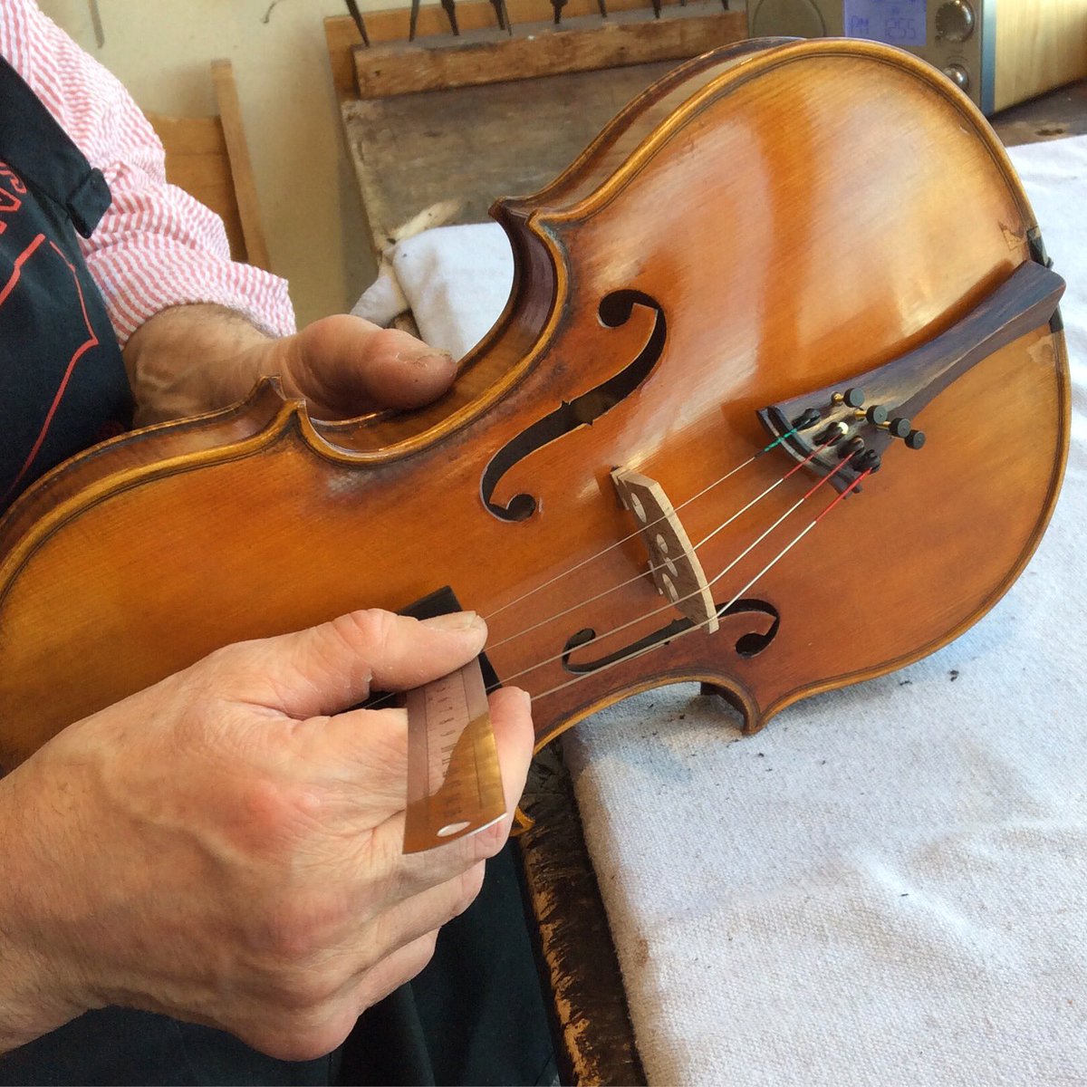 FeinViolins's tweet photo. Measuring the string height of a brand new Diva violin that will be going to a new home this week. Notice the harp-style tailpiece with 4 fine tuners, it is made of “Chakte Viga” (aka Mexican Pernambuco wood). #violin #viola #cello #violinshop #violinstrings https://t.co/mayB7Fw8hc