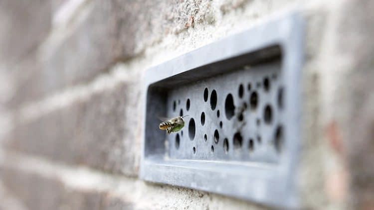 Bee brick, el ladrillo que esta diseñado para que habiten las abejas solitarias.