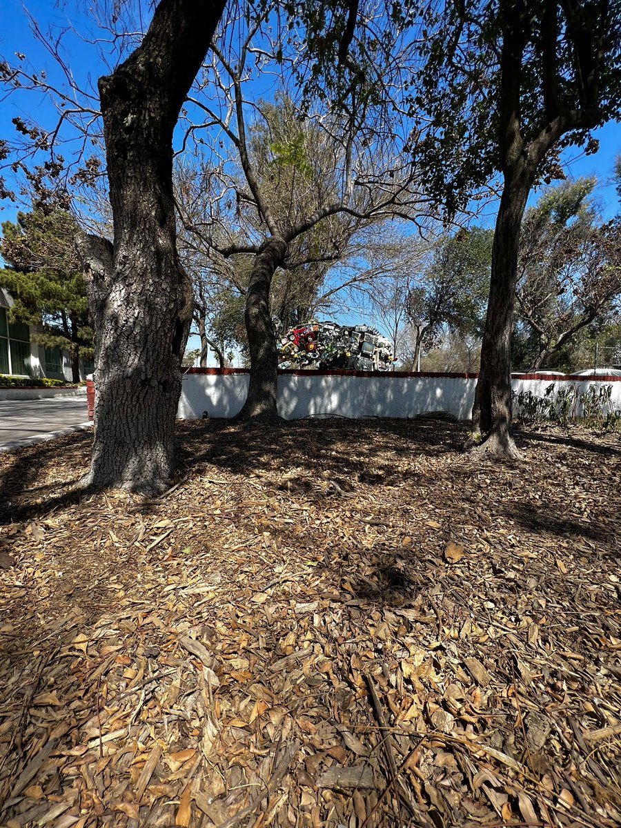 Secretaría de Servicios Públicos Mty tweet media