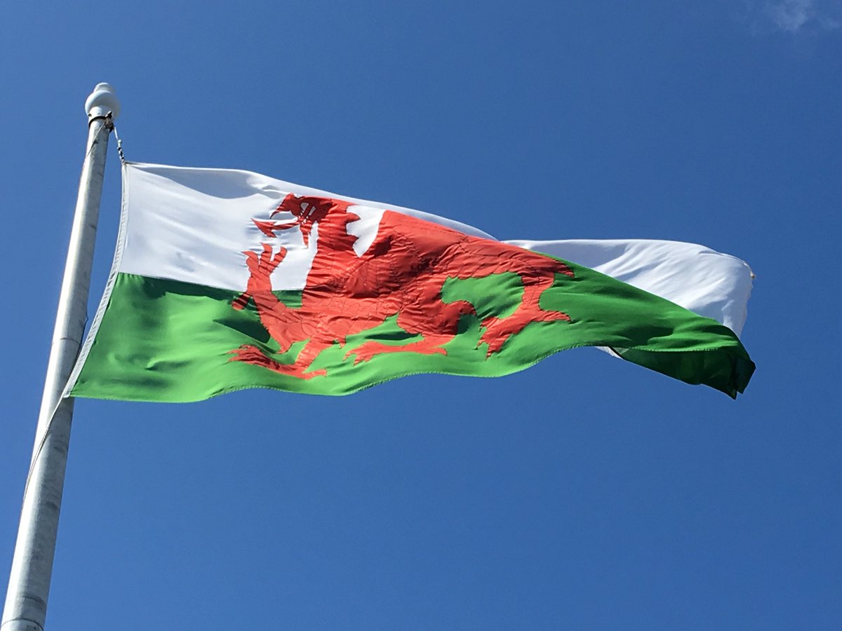 WalkingMunro's tweet photo. Happy St David’s day 🏴󠁧󠁢󠁷󠁬󠁳󠁿 https://t.co/vrX9jq4kvs