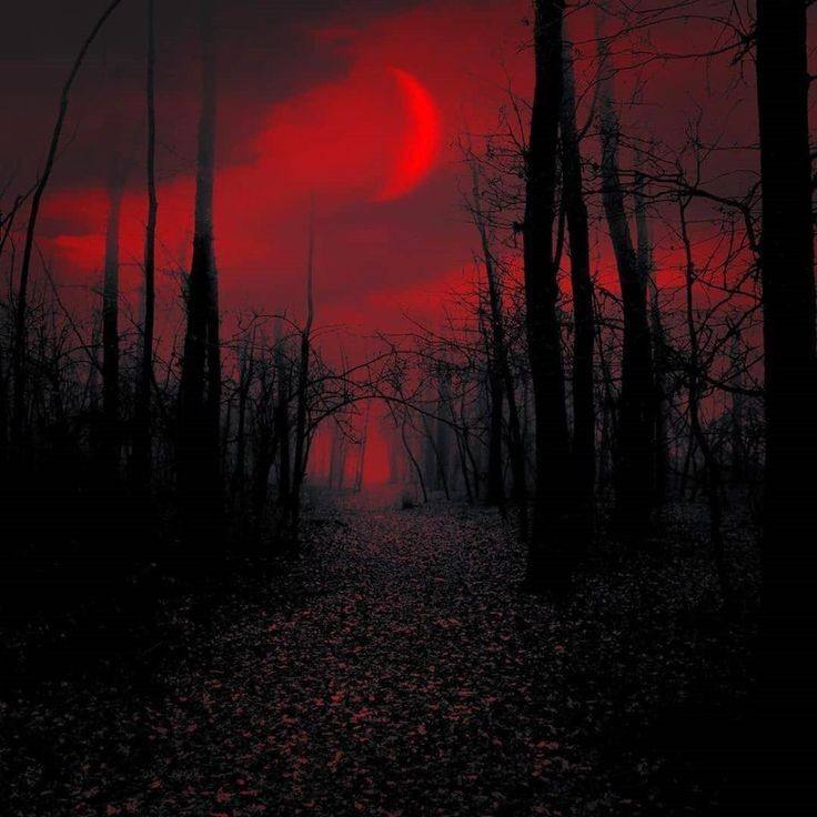 acid666host's tweet photo. blood moon https://t.co/9YfyOBvSSt