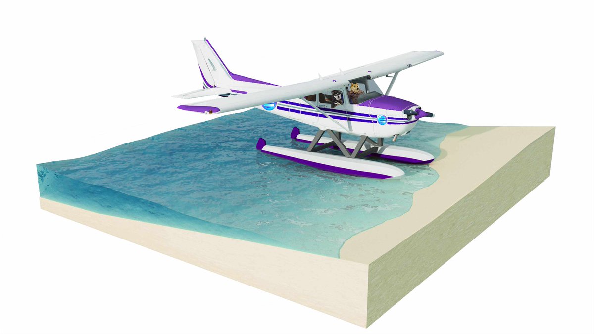 Bermuda Flight School tweet media