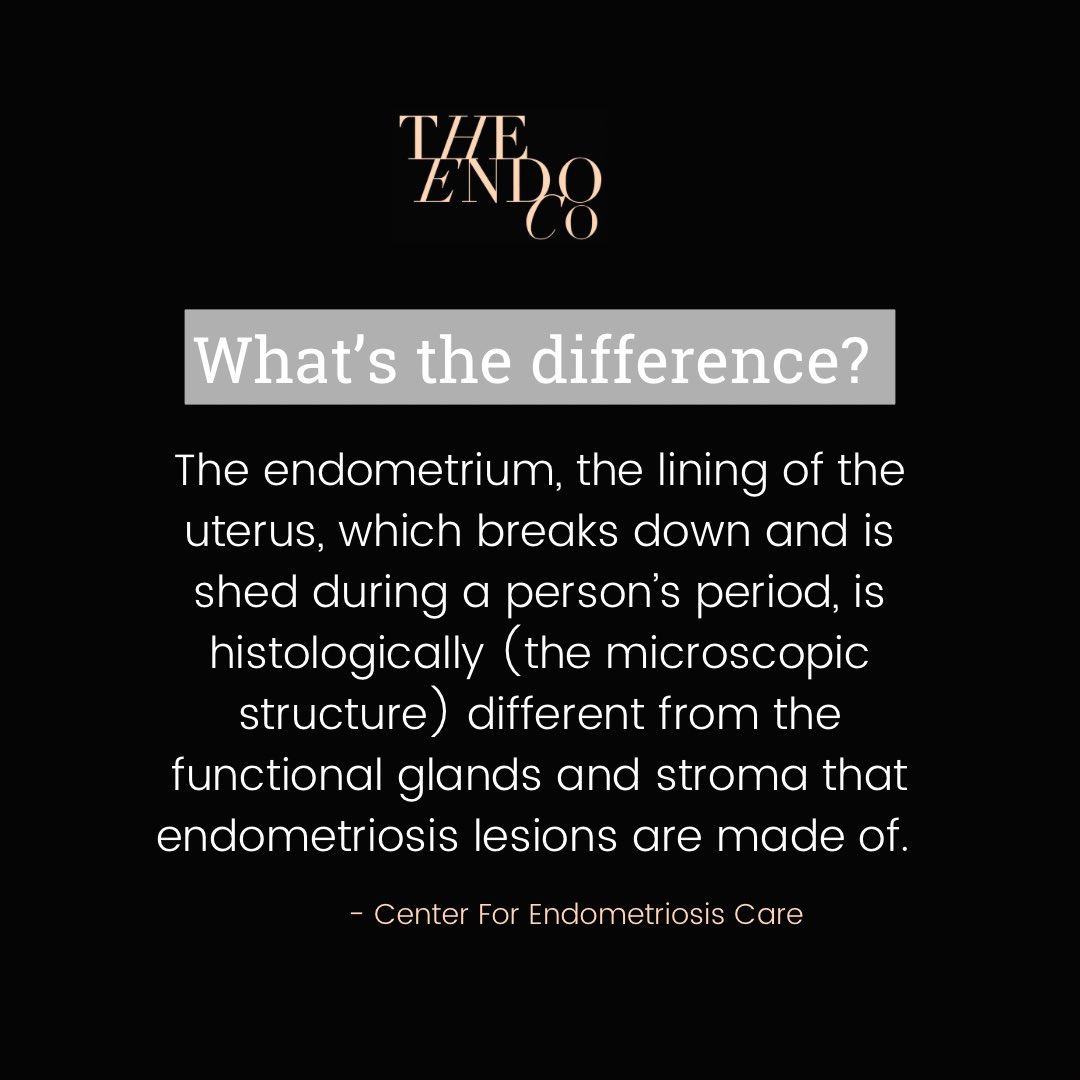 The Endometriosis Coalition tweet media