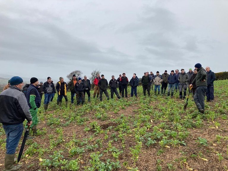 TeagascCrops's tweet photo. Good turnout in Wexford today as Eoin Lyons discusses how to manage cover crop destruction and nutrient supply to spring crops. https://t.co/WTYG50gYy1