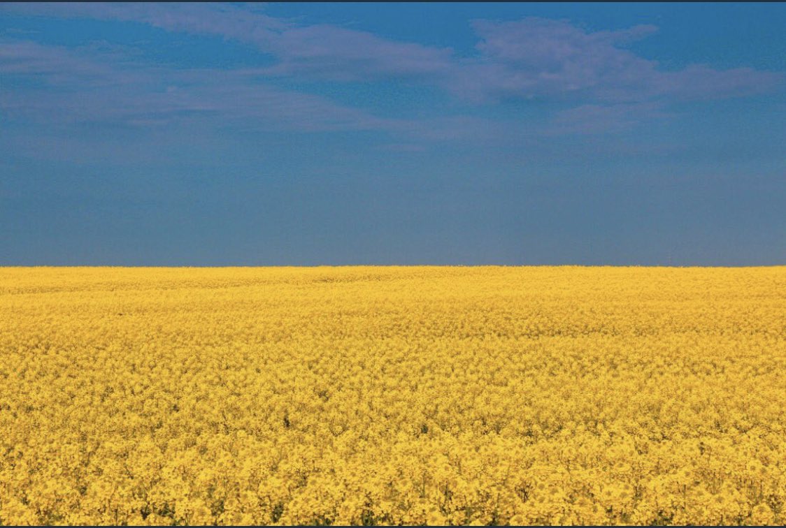 Oddie The Ðoge (@pug_oddie) on Twitter photo This is why the Ukrainian flag is blue and yellow..🇺🇦
#Ukraine #StandWithUkraine #Zelensky #Kyiv This is why the Ukrainian flag is blue and yellow..🇺🇦
#Ukraine #StandWithUkraine #Zelensky #Kyiv