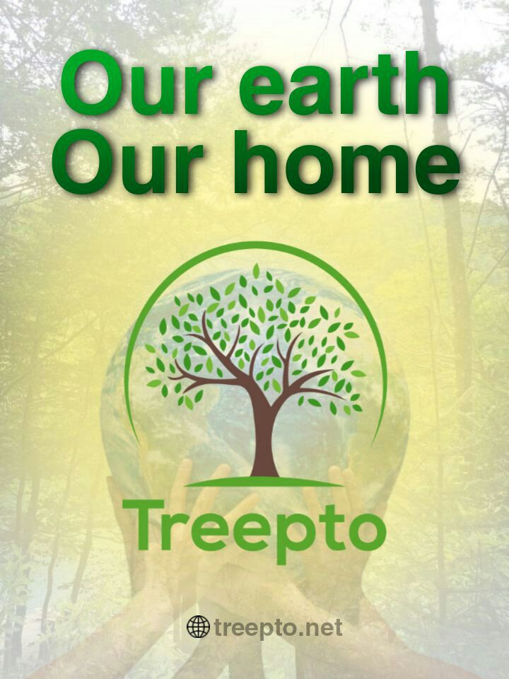 TreeptoWorld's tweet photo. https://t.co/RspuyzpdPh