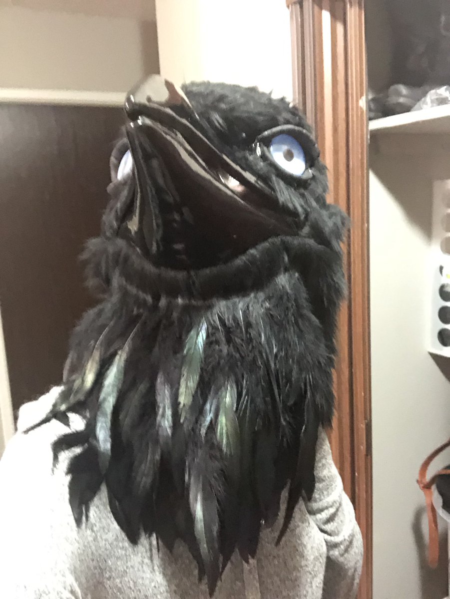 kenkuhandlethis's tweet photo. Neck feathers added! Trinket getting all prettified 🪶 

#cawsplay #cosplay #trinket #crow #costume #kenku #DnD https://t.co/F2amd9e4aV